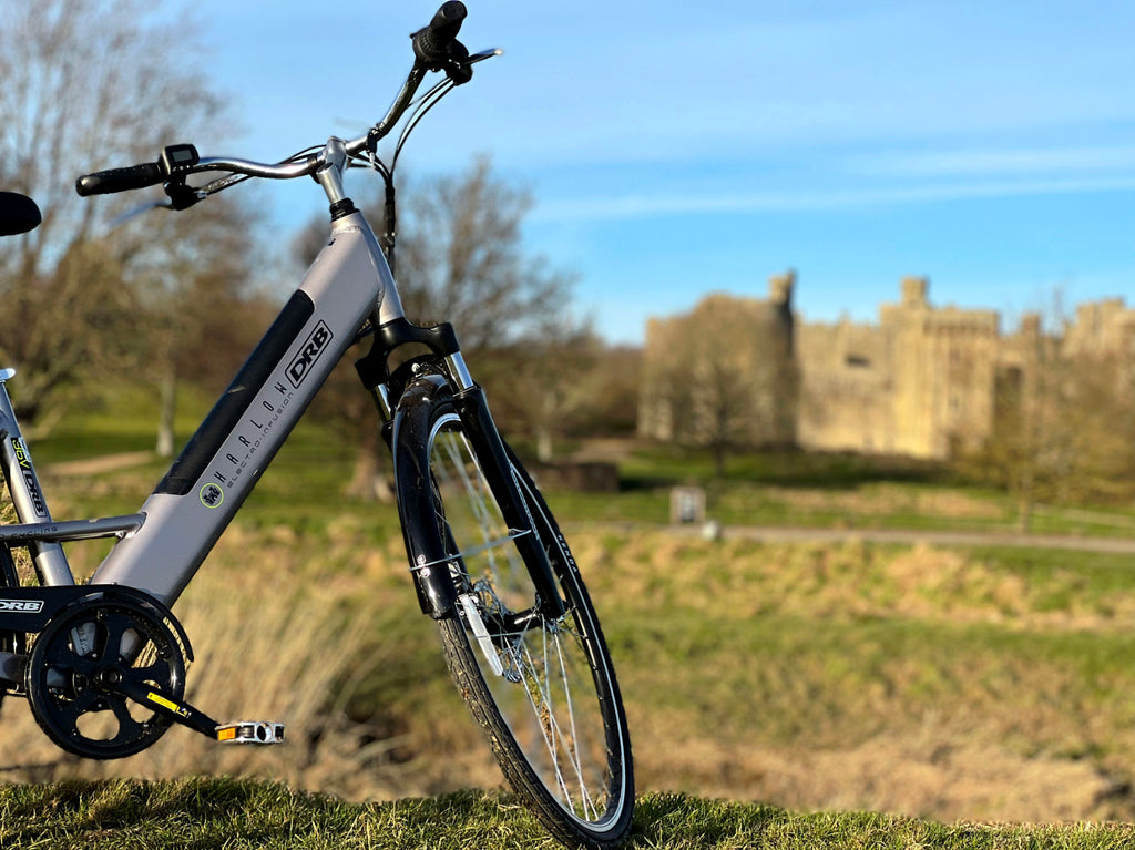 Dallingridge Harlow Step Through Electric Bike in Silver 250W Rear Hub Motor - JJ Adams Bikes